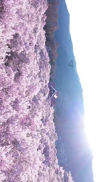 推主回怼拉瑞安:《幻兽帕鲁》的成功为订阅制正名!